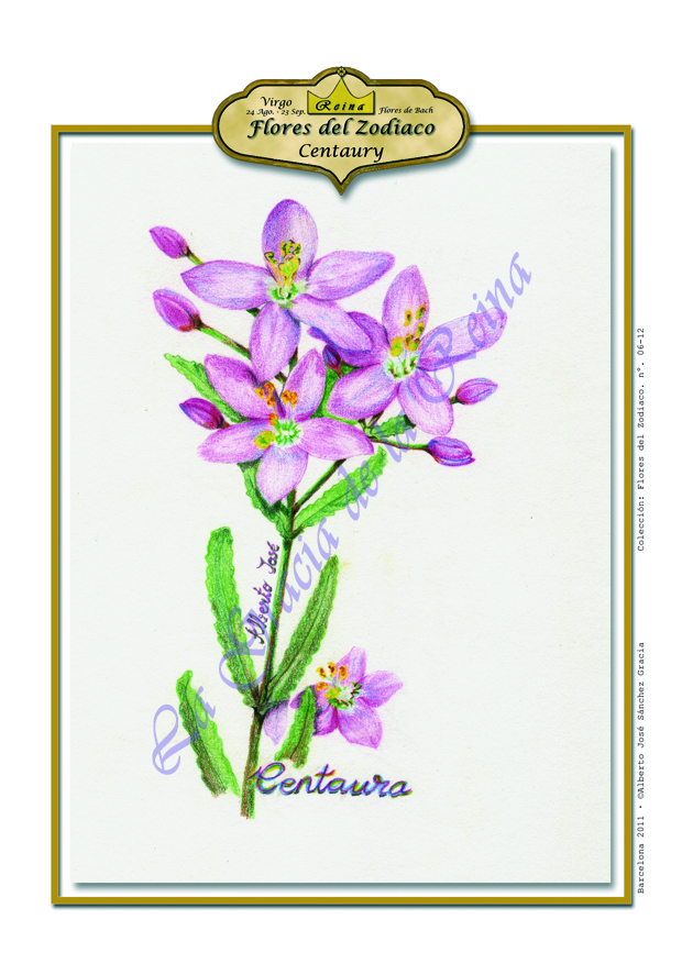 Virgo Centáurea. Flores de Bach Los 12 sanadores Ciencias Evolutivas